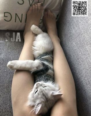 巴霍巴利王2:终结
