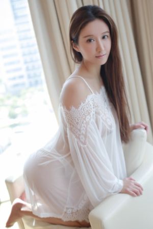 以人民的名义