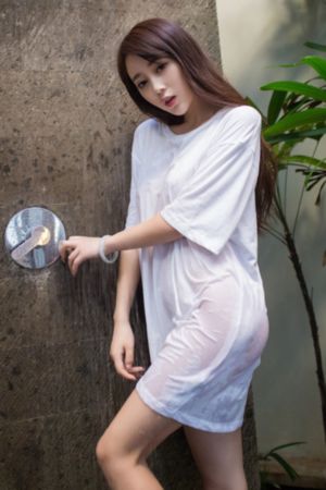 特殊案件专案组