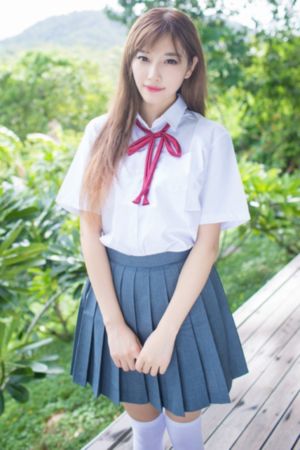 魔法少女与恶曾是敌人. 动漫