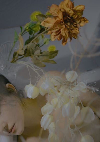 黑帮大佬和我的三百六十五日