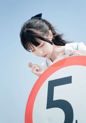 大丫鬟 电视剧