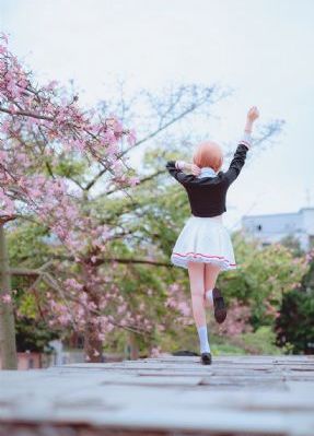 至尊三十六计国语完整免费播放