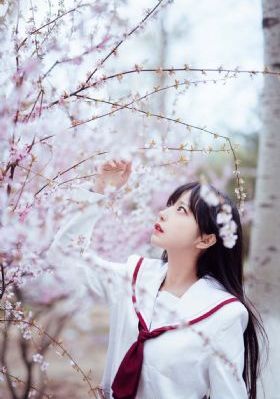 女汉子电视剧连续剧在线观看免费